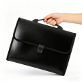 Olakula Expandable File Folder,13 Pockets with Durable Handle&Buckle Closure for School Home&Business.