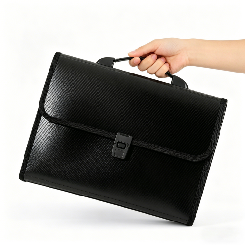 Olakula Expandable File Folder,13 Pockets with Durable Handle&Buckle Closure for School Home&Business.